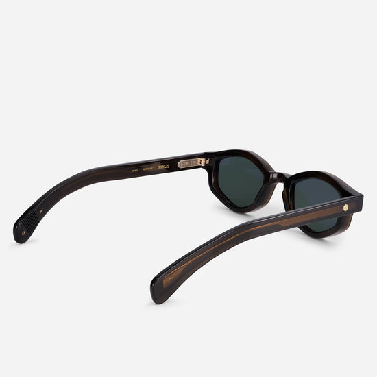 Sirius SB-1 combines dark brown and crystal finishes, creating a chic and elongated frame that enhances your style.